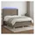 vidaXL Boxspringbett 140 x 200 cm Taupe
