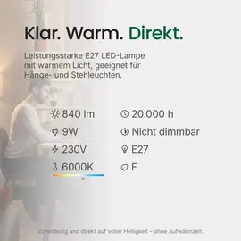 Spectrum LED-Birne 9W E27 840 lm kaltweiß