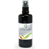 Wilde Karde Volltinktur – Pflanzlicher Kardenwurzelextrakt, 100 ml