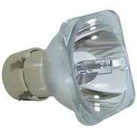 Azurano Beamerlampe für NEC NP13LP, 60002853 Ersatzlampe Projektorlampe