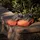 adidas Supernova Rise 3 Herren Aurora Onix / Silver Metallic / Lucid Orange 47 1/3
