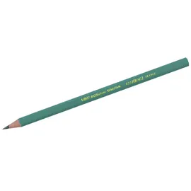BIC Bleistift Ecolutions Evolution HB 12 St. Grün
