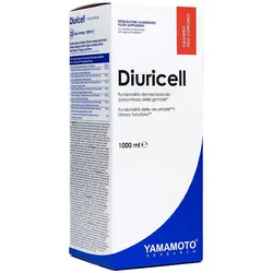 Yamamoto Research YAMAMOTO DIURICELL (1000ml ananas) (1000 ml, Zitrus-Ingwer)