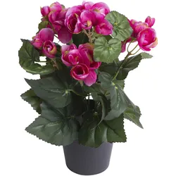 Kunstblume BOTANIC-HAUS "Begonienbusch mit 7 Stielen", bunt (beauty), B:18cm H:26cm T:18cm Ø:18cm, Kunststoff, Kunstpflanzen