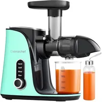 Amzchef GM3001-GN slow speed juicer (green), Entsafter, Grün