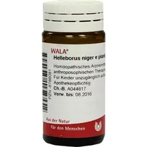 Wala Helleborus Niger E planta tota D12