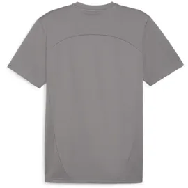 Puma teamFINAL Training Jersey grau M