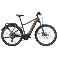 Giant Explore E+ 1 Pro GTS truffle (2023) - M