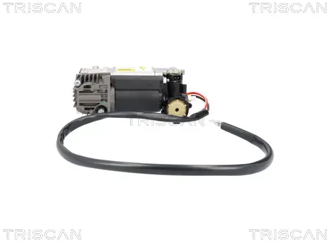 TRISCAN Kompressor, Druckluftanlage 872511107 für BMW