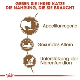 Royal Canin Ageing +12 4 kg