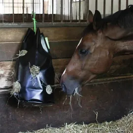 Kerbl HayBag - Heusack, bis 8kg, Heunetz Heuraufe Beschäftigungssack
