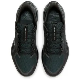 Nike Pegasus 41 Herren Schwarz 45