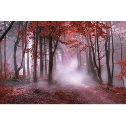 Leinwandbild BÖNNINGHOFF "Herbstwald im Nebel", rot (farbe bild(er): rot), B:118cm H:78cm T:2cm, MDF, Papier, Bilder