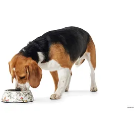 Hunter Melamin-Napf Mogami