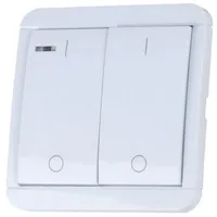 diw-funk DWS-20T Funk Serien-Wandsender mit 2xTimer 2-Kanal mit 2 Count-Down-Timern DIW-Funk