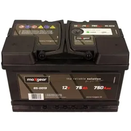 Maxgear Starterbatterie 75Ah 12V