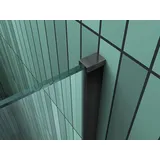 impex-bad Duschwand sc mit schwarzen Anbauteilen in 80 x 200 cm