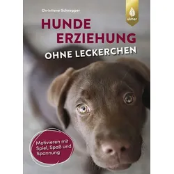 Hundeerziehung ohne Leckerchen