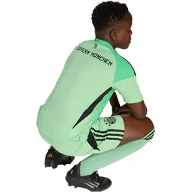 adidas FC Bayern München Torwarttrikot 2025/26 Kinder grün Gr. 176