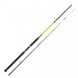 WFT Meeresrute Never Crack Big Fish Big Fish 700, Big Fish 700 / 210cm 150-700g