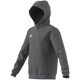 Adidas Entrada 22 Sweat Hoodie Team Grey Four, 128