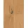 Classen edition 7+2 V WR 128,5 x 19,4 cm Eiche Wilton