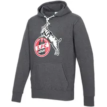 1. FC Köln Hoodie Grau 4XL