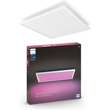 Philips Hue White & Color Ambiance Surimu 60 x 60 cm