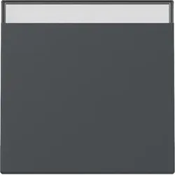 GIRA Wippe 329928 anthrazit - neue Generation