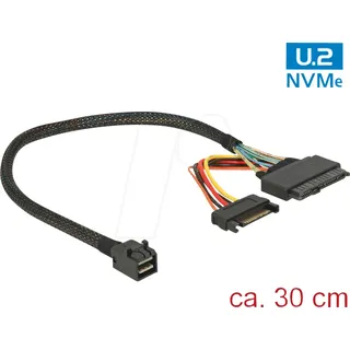 DeLock Internes SAS-Kabel (0.30 m), Netzwerkkabel