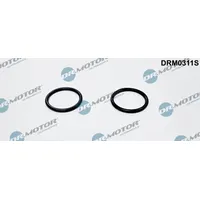 DR.MOTOR AUTOMOTIVE Dichtung, Heizungsschlauch 2x für FORD C-Max Focus
