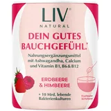 LIV Darm Komplex - 10 Mrd. darmspezifische Bakterienkulturen/Portion, Akazienfaser, B-Vitamine & Ashwagandha KSM-66® | aus echtem Fruchtsaftpulver