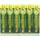Miswak Dabur Kräuter Zahnpasta 1020 g