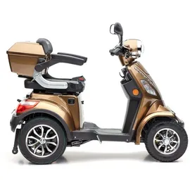 ECONELO P4000 Lithium-Akku Braun