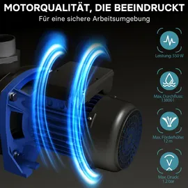 Wiltec Poolpumpe schwarz 13800 l/h