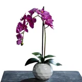 ROLLER Orchidee-Phalaenopsis - Kunstpflanze - lila