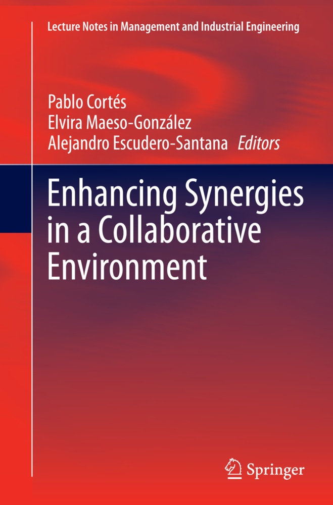 Enhancing Synergies In A Collaborative Environment  Kartoniert (TB)
