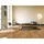 Parador Vinylboden Basic 5.3 Eiche Sierra natur