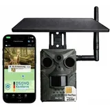 Pettec PetCam Trail 4G Weiß