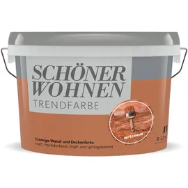 Schöner Wohnen Trendfarbe Arizona orange matt 1 l