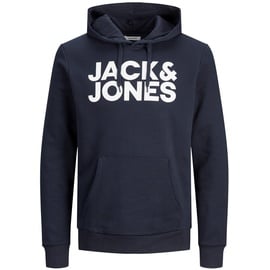 JACK & JONES Corp Logo Kapuzenpullover Mountain View / Fit Reg / Large Print 2XL