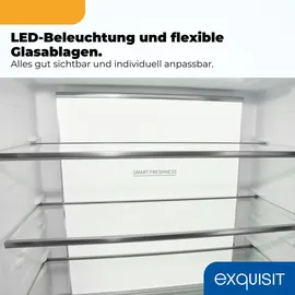 Exquisit EMD470-170-200E Multi Door (466 l, 1930 mm hoch, Inox weiß)