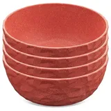 Koziol Schale 700 ml 4er-Set CLUB Bowl