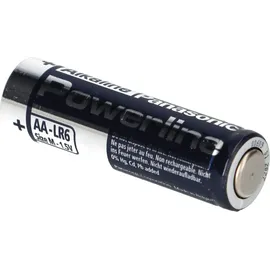 Panasonic Micro AAA 1383 mAh 60 St.