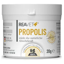 Propolis 20g