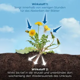 Protect Garden Permaclean Express Unkrautfrei AF 1