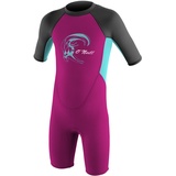 o ́neill wetsuits O'Neill Wetsuits Reactor Spring Neoprenanzug, Berry/Ltaqua/Graph, 3 Jahre