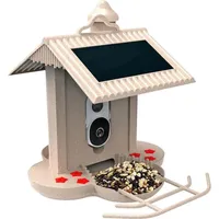 Bullboat HiBirds - Smart bird feeder 1080HD camera and