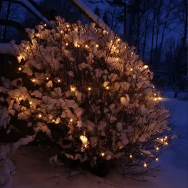 Star Trading LED-Lichterkette 10 m spritzwassergeschützt warmweiß
