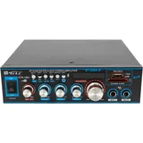 TESUGN HiFi Verstärker mit Bluetooth, 12V 220V Mini Audio Verstaerker Digital Endstufe, Unterstützt FM SD-Karte U-Scheibe MP3, 300W+300W Endverstärker mit 2 Mikrofonanschlüsse für Zuhause oder Auto